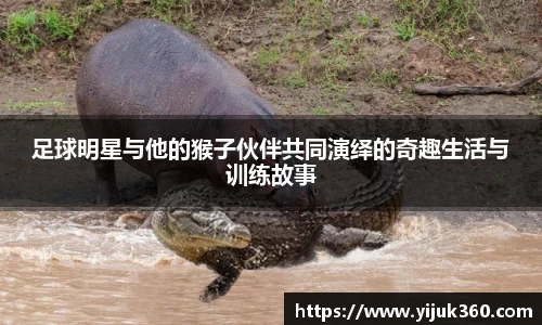 足球明星与他的猴子伙伴共同演绎的奇趣生活与训练故事